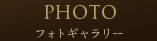 フォトギャラリー
